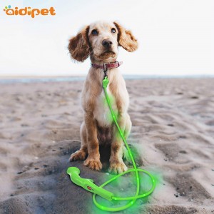 Walking udtrækkelig Nylon Pet Dog Show kravebånd med led blinkende